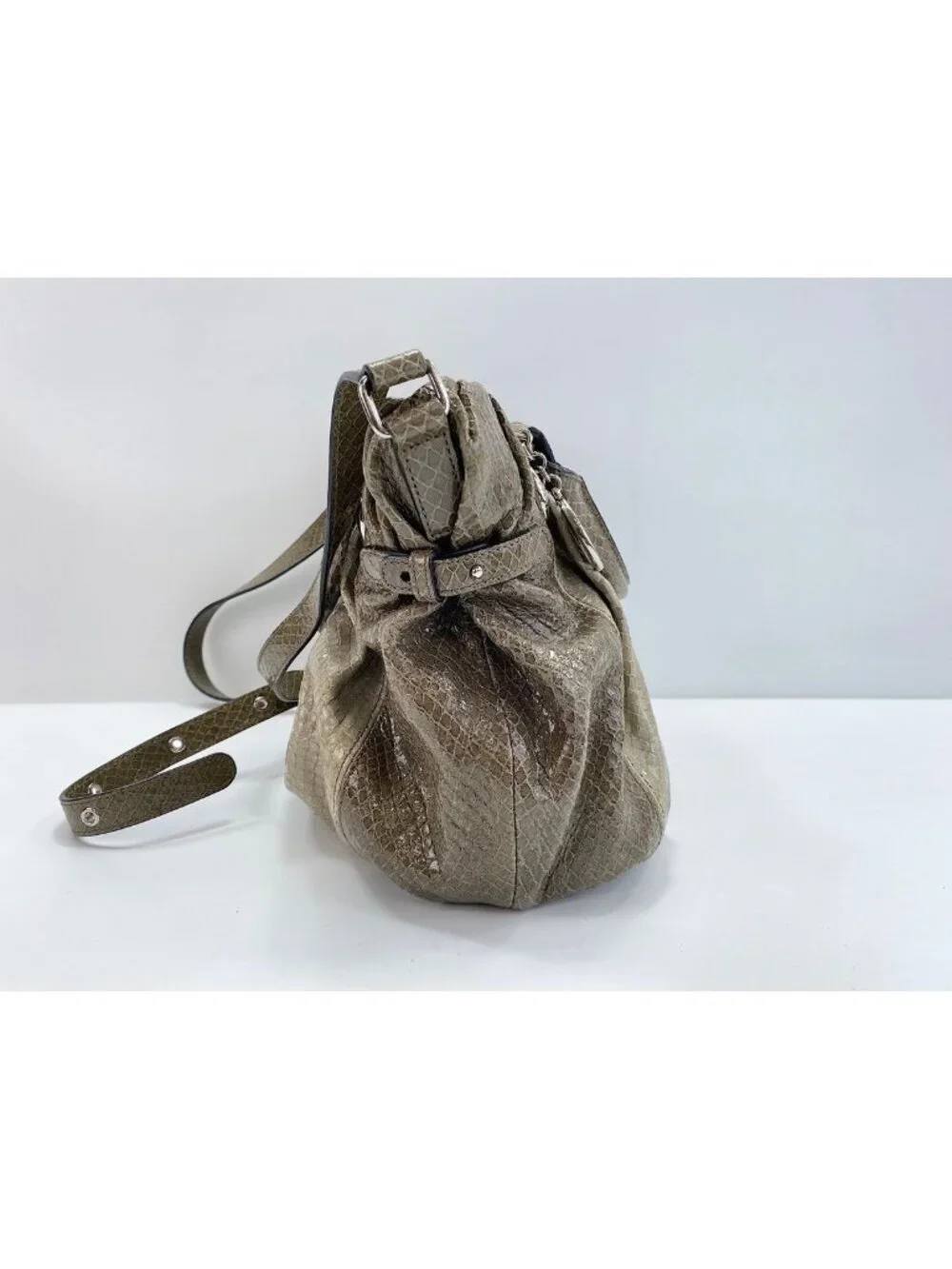 Celine Shoulder Bag Bittersweet